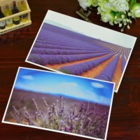 Beautiful View Matt Lamination Coated Paper Pop Up Wholesale Postcard Display